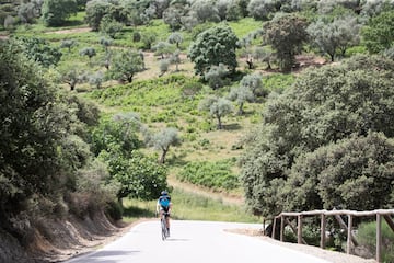 El paisaje en torno a la ascensión del puerto es el típico de la dehesa extremeña, con una presencia destaca del olivo que, a medida que se avanza en la subida, proporciona más sombra en la carretera. 