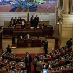 Ley de Garantías: en qué consiste la modificación y quién la quiere hacer