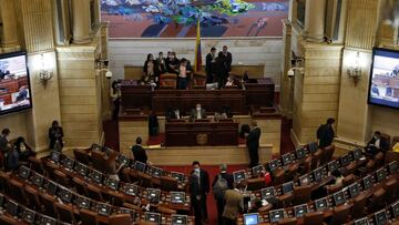 Ley de Garantías: en qué consiste la modificación y quién la quiere hacer