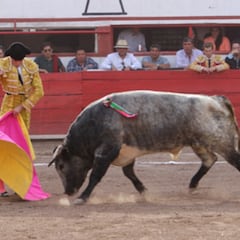 Comisiones avalan prohibir corridas de toros en CDXM