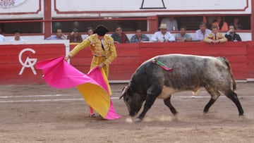 Comisiones avalan prohibir corridas de toros en CDXM