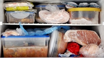 Frozen food inside a freezer. Lots of leftovers in plastic containers.