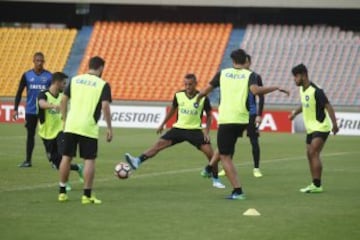 Botafogo reconoce la casa del campeón de América