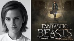 Emma Watson y el cartel de 'Animales fantásticos y dónde encontrarlos".  Fotos Twitter.