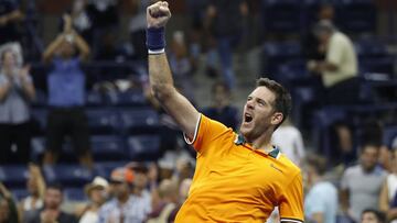 Del Potro - Isner: horario, canal de TV y cómo ver online