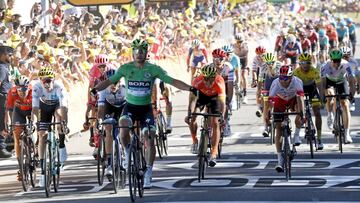 10/07/19 TOUR DE FRANCIA 2019 ETAPA 5 SAINT DIE DES VOSGUES - COLMAR PETER SAGAN VENCEDOR DE LA ETAPA