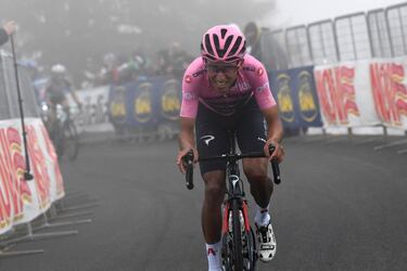 El ascenso a uno de los míticos puertos de montaña del ciclismo en el mundo demostró que Egan Bernal estaba para ser campeón, aunque la victoria fue para Lorenzo Fortunato, el ciclista colombiano mostró su potencial, respondió a los ataques de sus adversarios, especialmente al de Simon Yates, y logró llegar en el cuarto lugar sacando amplias diferencias ante sus más inmediatos perseguidores. El Giro se empezaba a sentenciar.