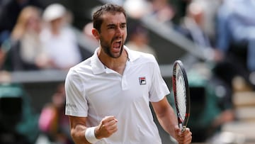 Cilic vence a Querrey y jugar¨¢ su segunda final de Grand Slam