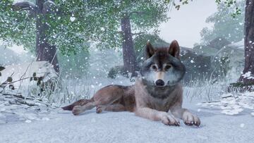 Imágenes de Planet Zoo