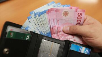 Subsidio Único Familiar: cómo consultar el pago de febrero con mi RUT