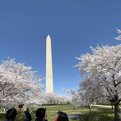 Third stimulus check missing: why it could be taking longer and when to expect it