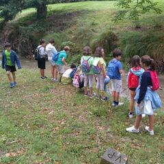Brote en un campamento en Soria: ocho positivos