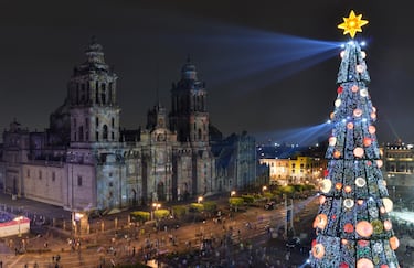 En Ciudad de México, uno de sus iconos más entrañables es el árbol monumental del Zócalo, con la imponente Catedral Metropolitana a sus espaldas. El árbol hace que el centro histórico sea todavía más espectacular que de costumbre.