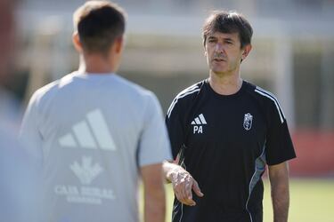 El Virus FIFA masacra la portería del Granada