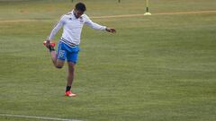 Falcao y Dávinson Sánchez ya están con la Selección