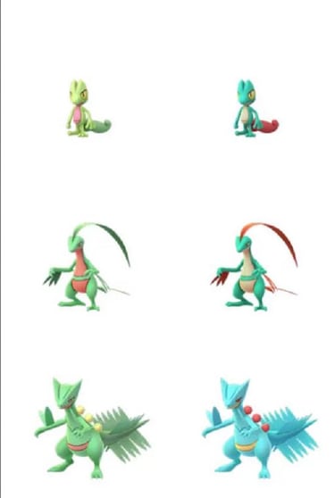 Pokémon GO: todo sobre el día de la comunidad de marzo (Treecko)