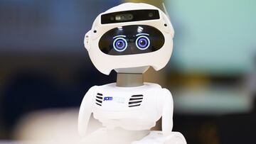 Misty II, un robot español para cuidar a las personas mayores solas