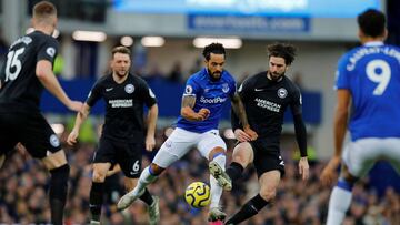 Everton - Brighton en vivo online, fecha 22 de la Premier League, que se jugar&aacute; hoy s&aacute;bado 10 de enero en Goodinson Park, desde la 10:00 a.m.