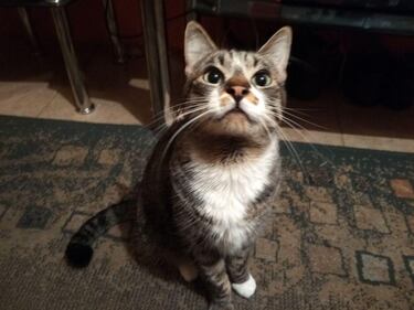 Xiaomi Redmi Note 5A: Review