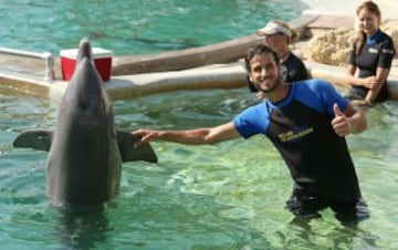 Simpática imagen de Feliciano Lopez con un delfin en Miami.