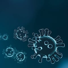 Las nuevas formas de contagio del coronavirus según la OMS