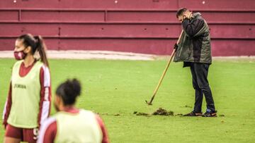 Green Natur se encargará de renovar el césped de Las Gaunas