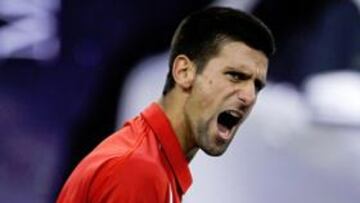 Djokovic y Murray se medirán en la gran final de Shanghái