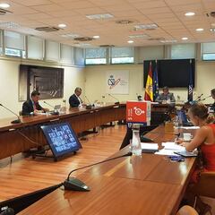 El GTID acuerda actualizar los protocolos sanitarios