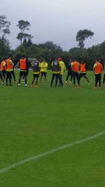 El equipo cardenal entrena y comparte con sus hinchas en el Wide World of Sports Complex de la ciudad de Deltona, Florida. 