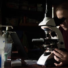 Hydroxychloroquine: what is it and can it help fight Covid-19?