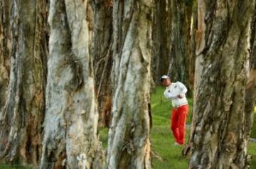 Lu Wei-Chih intenta sacar la bola de una arboleda durante el Open de Hong Kong de golf.