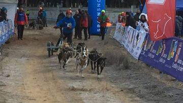 Gran éxito de los Campeonatos de España de Mushing Tierra