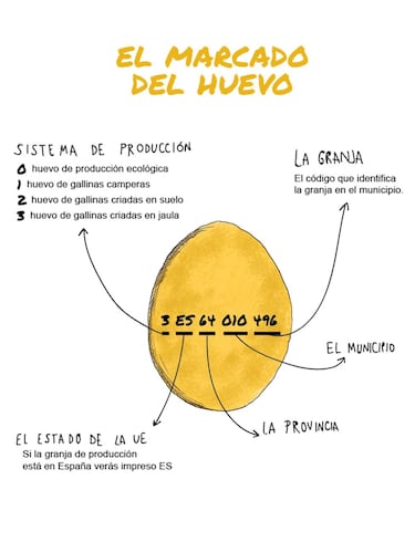 ¿Quién fabrica los huevos de marca blanca de cada supermercado en España? Mercadona, Lidl, Aldi, Carrefour, Dia...