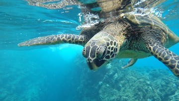 Musk’s SpaceX, the dirty neighbor next door