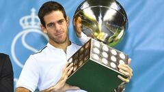 Del Potro derriba a Dimitrov y reválida el título en Suecia