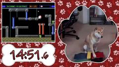 El perro speedrunner que se pasará un juego de NES en el próximo Awesome Games Done Quick