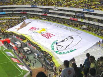 Las Águilas han hecho suya la frase “ódiame más”, pues para la  afición y el equipo es un orgullo esto, ya que es sinónimo de envidia por lo que han logrado, a tal grado que ya lo utilizan para cualquier situación, pues ellos si son grandes del futbol mexicano.