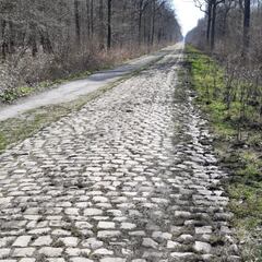 La París-Roubaix se retrasa a octubre por la COVID-19