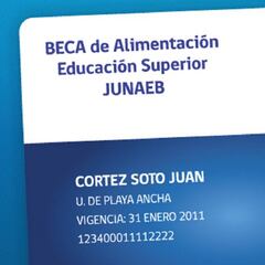 Beca Baes 2023: fechas, montos, requisitos y cómo solicitar