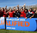 World Rugby investiga a un jugador de los Leones