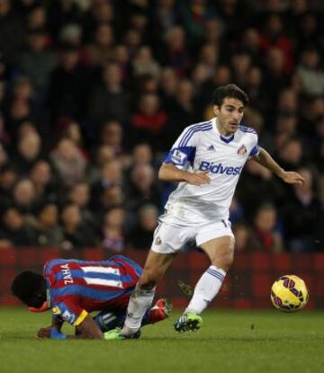 Jordi Gomez del Sunderlands.