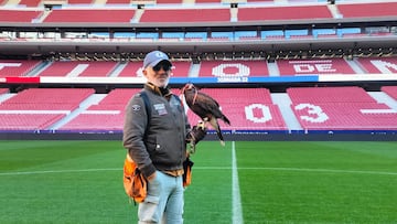 17/10/25 ATLETICO DE MADRID
JORGE CASTAÑO CETRERO ESTADIO METROPOLITANO HALCON
FOTO ENVIADA SERGIO.PICOS.