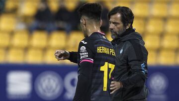 Quique S&aacute;nchez Flores con Hern&aacute;n P&eacute;rez durante un partido del Espanyol.