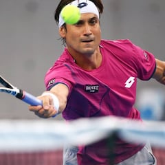 Ferrer avanza a semifinales y Pablo Carreño dice adiós