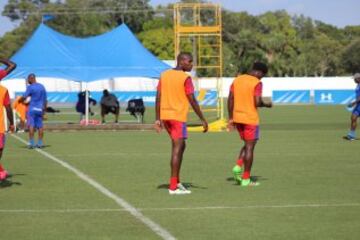 Haití será una de las selección invitadas a la Copa América Centenario. Está sembrado en el grupo B junto con Brasil, Ecuador y Perú.