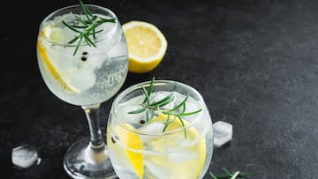 No es sólo pisco: el gin chileno que fue premiado con dos medallas de oro en Nueva York