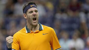 Del Potro - Isner: resumen, sets y resultado