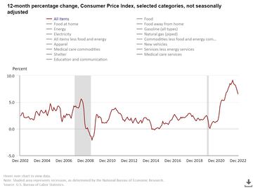 12-month CPI data BLS December 2002 to 2022