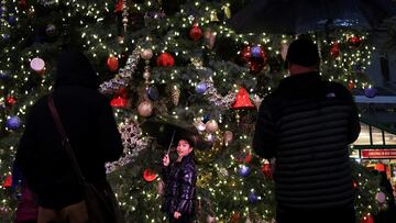 A tourist poses in Bryant Park in front of a Christmas tree, in New York City, New York U.S., December 9, 2024. REUTERS/Kent Edwards