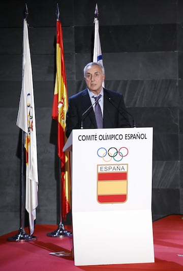 La nadadora Mireia Belmonte, el piragüista Saul Craviotto y la karateca Sandra Sánchez, entre otros muchos deportistas españoles, han sido premiados en la gala anual organizada por el Comité Olímpico Español, que reconoce los éxitos más notables de esta temporada.